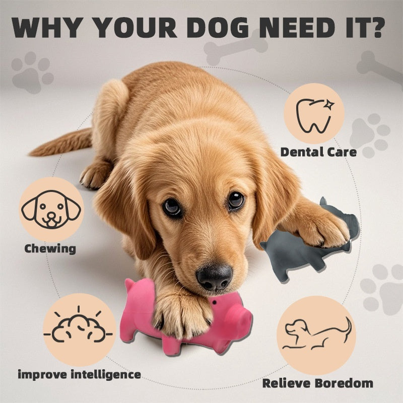 Long-Lasting Molar Dog Toy