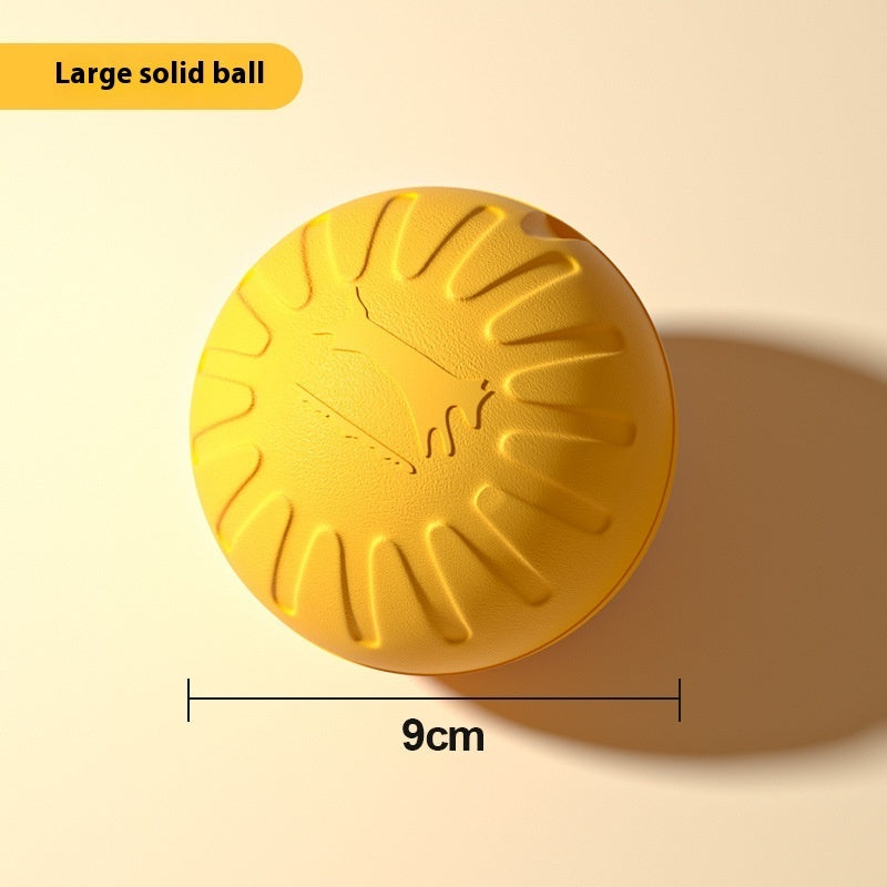 EVA Dog Training Toy (Choose Style)