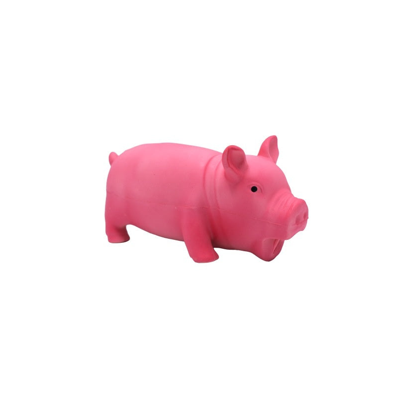 Long-Lasting Molar Dog Toy