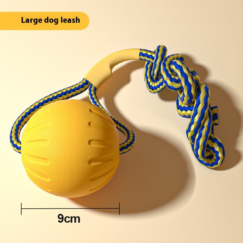 EVA Dog Training Toy (Choose Style)