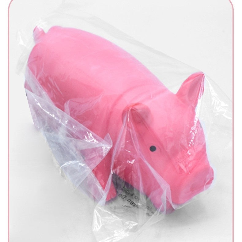 Long-Lasting Molar Dog Toy