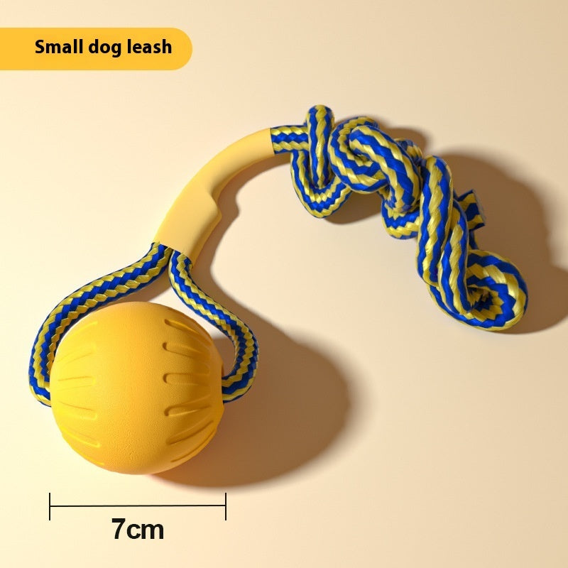 EVA Dog Training Toy (Choose Style)